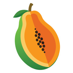 Papaya fruits vector illustration on a white background