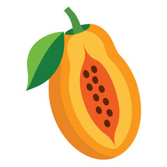 Papaya fruits vector illustration on a white background