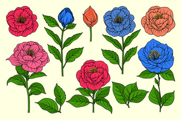 Minimalist Hand Drawn Flower Set – Botanical Illustration of Camellia Stems and Leaves for Floral Design, Wedding Invitations, and Home Decor