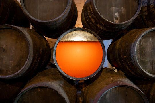 Flor, film of yeast in solera system in old Andalusian wine cellar, process for aging sherry wine in barrels, jerez fortified wine, Sanlucar de Barrameda, Cadiz, Andalusia, Spain