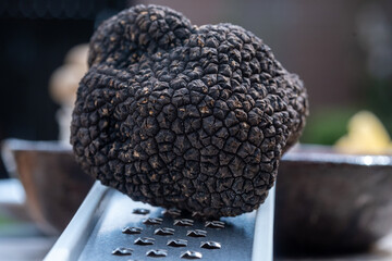 Delicious mushrooms, fresh black summer truffle mushroom and grater for making truffle dishes with tasty aroma