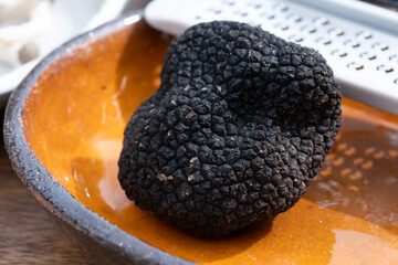 Delicious mushrooms, fresh black summer truffle mushroom and grater for making truffle dishes with tasty aroma