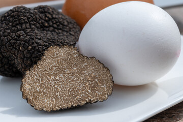 Ingredients for French omelette with mushrooms, fresh farmers eggs and black summer truffle...