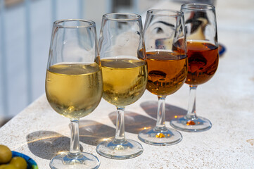 Sherry fino, manzanilla, cream wine tasting on roof of old Triana district in Sevilla with view on...