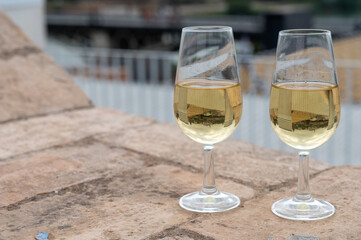 Sherry fino wine tasting on roof of old Triana district in Sevilla with view on Sevilla houses and churches, wine glasses