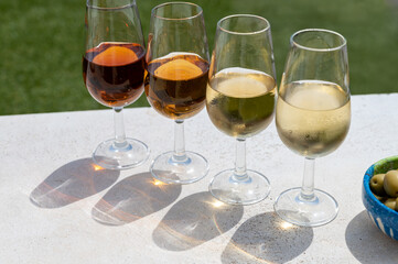 Sherry fino, manzanilla, cream wine tasting on roof of old Triana district in Sevilla with view on...