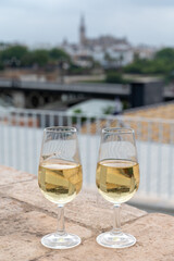 Sherry fino wine tasting on roof of old Triana district in Sevilla with view on Sevilla houses and churches, wine glasses