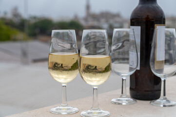 Sherry fino wine tasting on roof of old Triana district in Sevilla with view on Sevilla houses and churches, wine glasses and bottle