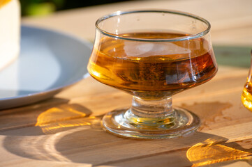 Tasting of french apple cider brut in glass made from new harvest apples outdoor in sunny orchard