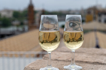 Sherry fino wine tasting on roof of old Triana district in Sevilla with view on Sevilla houses and...