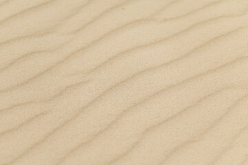 Textured sand dunes create a natural pattern in beach area during daylight near coastal landscape