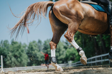 Close-up of a horse galloping with its rider during an outdoor training session, capturing the...