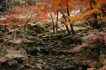 Serene autumn landscape with trees and rocky stream