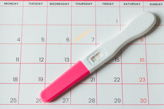The pregnancy test with female ovulation day is on the calendar. Pregnancy test with two strips on calendar with marked date. The concept of expecting a baby, day of ovulation or conception of child.