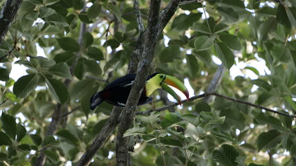 Buenas tardes, ¿qué tal?