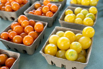 Multicolor small tomatoes in square basket at local farmer market