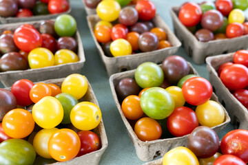 Multicolor small tomatoes in square basket at local farmer market