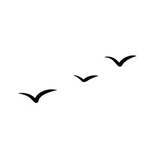 Simple birds flying