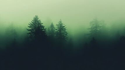 Obraz premium A gradient blending from deep forest green to nearly black, with a soft glow that adds depth and mystery to the design.