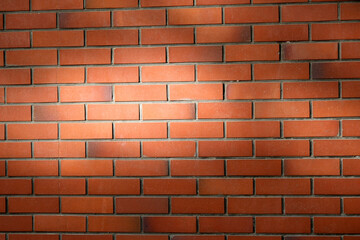 煉瓦塀に刺した木漏れ日