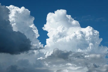 Obraz premium 青空と入道雲