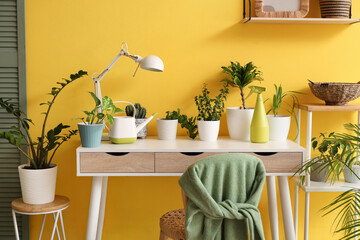 Interior of room with green plants and table