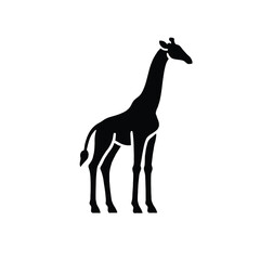 Giraffe Silhouette