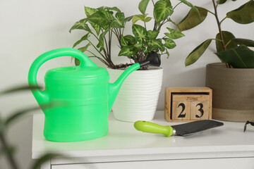 Gardening tools with plants on commode near light wall