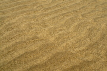 Sand ripples on the beach