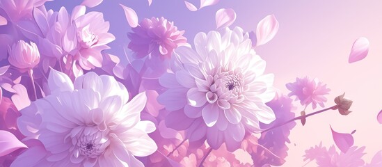 Beautiful white and purple Dahlia flowers appear to float against a pink background creating a striking levitation effect High resolution capture