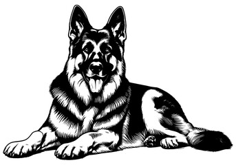 Cute German Shepherd in full-body, hand drawn sketch. Vector isolated on white background	