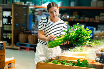 Interested positive young girl shopping for organic vegetables in farm store, choosing fresh fragrant green celery on produce display