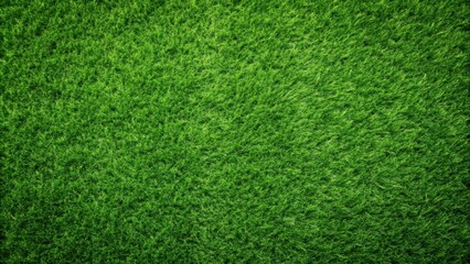 Fototapeta premium Green grass texture top view, Fresh, vibrant, plant, nature, background, lush, organic, outdoors, environment, growth, meadow