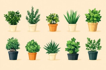 Illustration of Various Indoor Plants in Pots