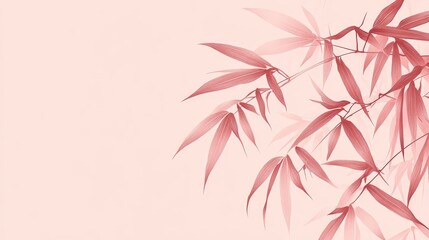 Bamboo Leaves On A Branch Against Pastel Pink Color As A Classic Asian Minimalist Wallpaper Background