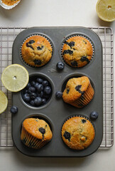 Homemade gluten free lemon blueberry muffins on a white wire rack. Top view