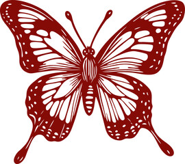 Beautiful Classic Hand Drawing Butterfly Illustration