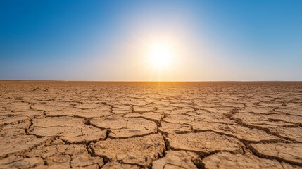 A vast, cracked desert landscape under a blazing sun.  The dry, barren earth stretches as far as the eye can see.
