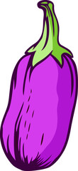 Beautiful Classic Hand Drawing Eggplant Illustration