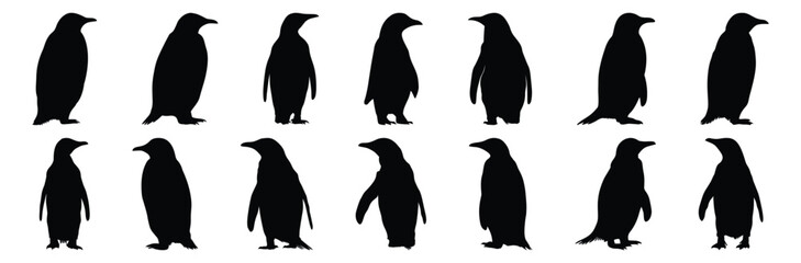 Naklejka premium Penguin silhouettes set, bird pack of vector silhouette design, isolated background