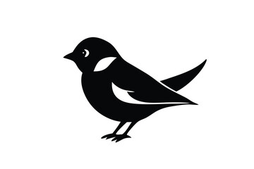 Obraz premium Magpie Robin vector art and illustration