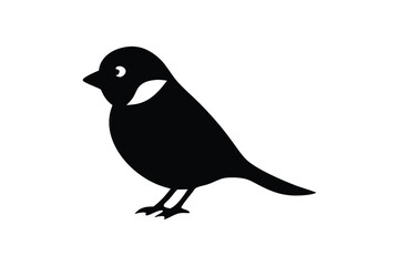 Magpie  Robin vector art and illustration