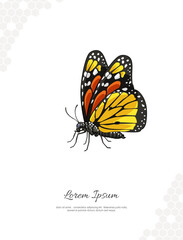 Monarch Butterfly - vector art
