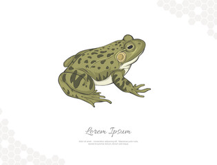 Northern Leopard frog vector art for wall decoration