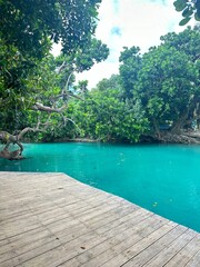 wooden bridge over the river