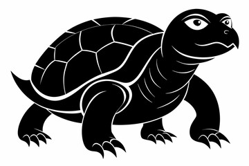 Turtle vector art and illustration