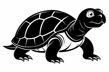 Turtle vector art and illustration