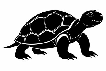 Turtle vector art and illustration