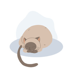 Cute Domestic Cat Curled Up in a Comfortable and Cozy Pose for Pet Lovers