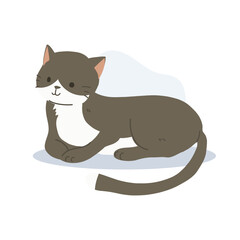 Kawaii Tuxedo Cat Illustration – Cute Black and White Cat Sitting and Laying on the Ground, Perfect for Cat Lovers
